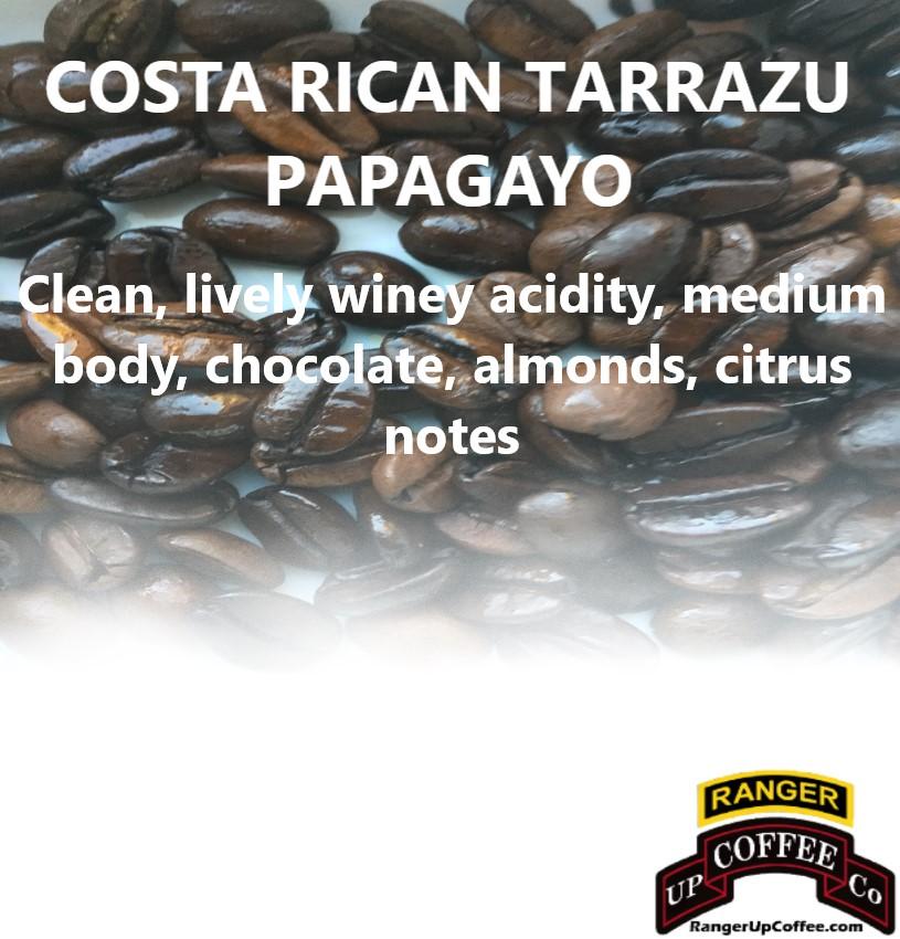 Costa Rican Tarrazu Papagayo Coffee
